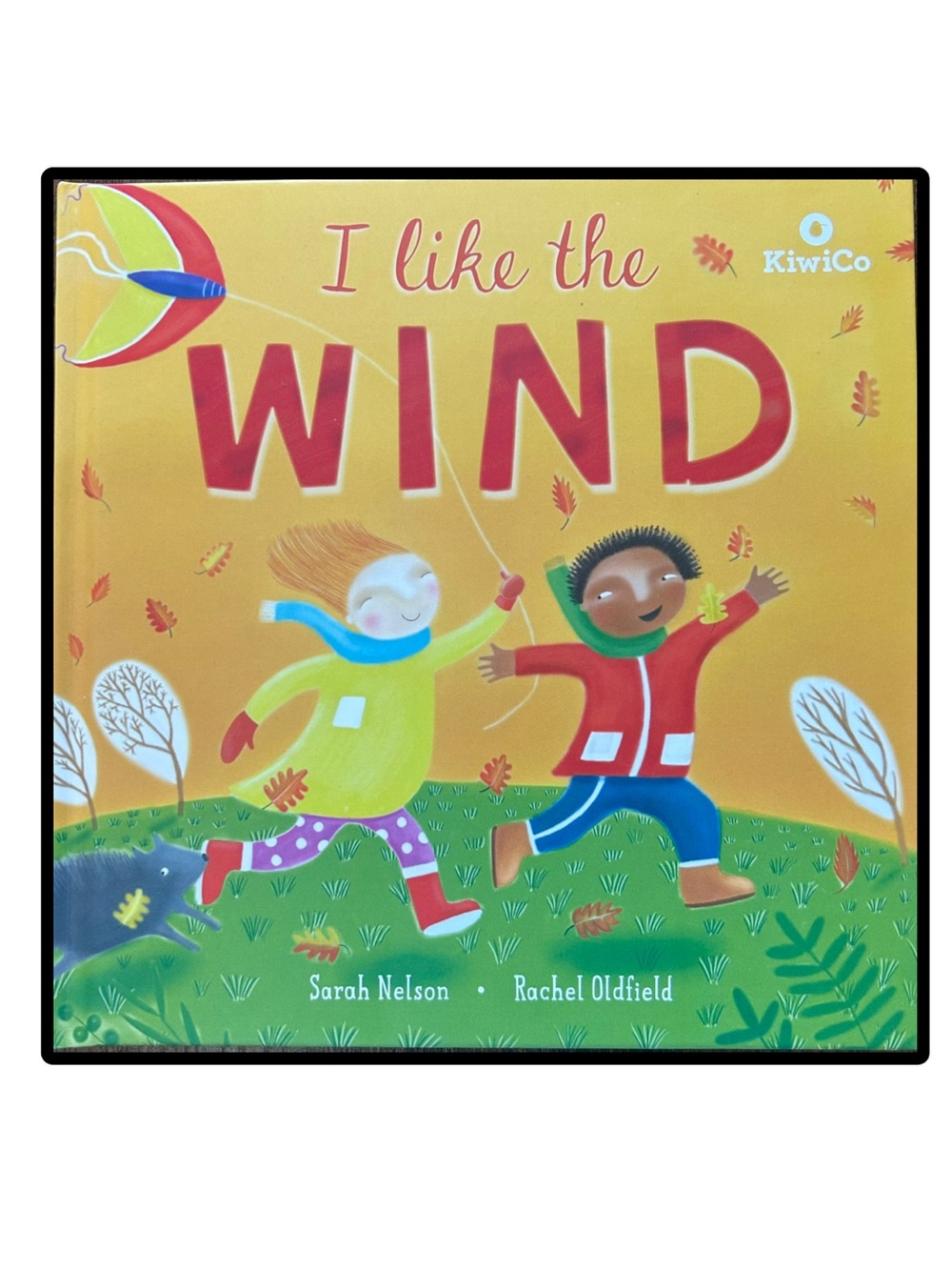 BUNDLE & SAVE 📚 I like the WIND by Sarah Nelson